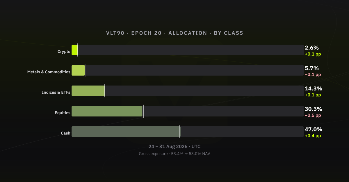 Allocation by asset class, epoch 20